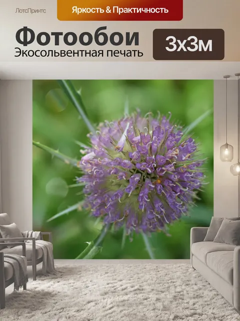 Фотообои Макросъемка