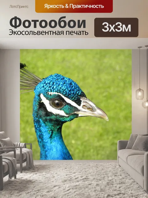 Фотообои Павлин