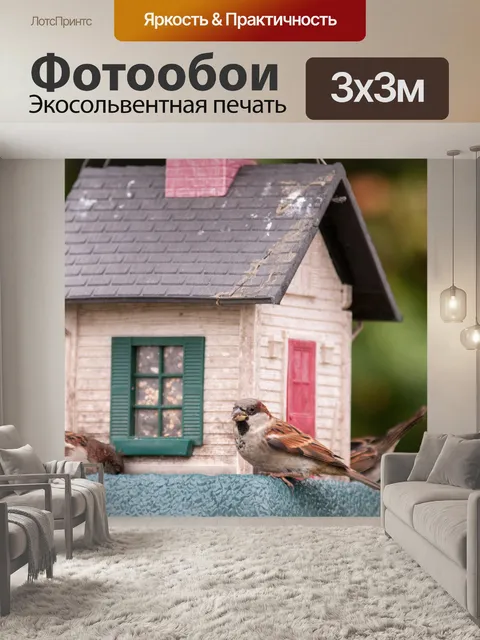 Фотообои птиц на Birdfeeder