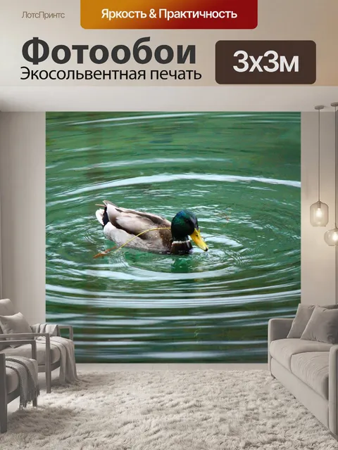 Фотообои Озеро