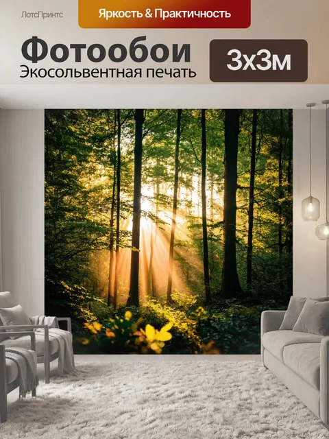 Фотообои лес с утренними лучами света, пробивающимися сквозь листву
