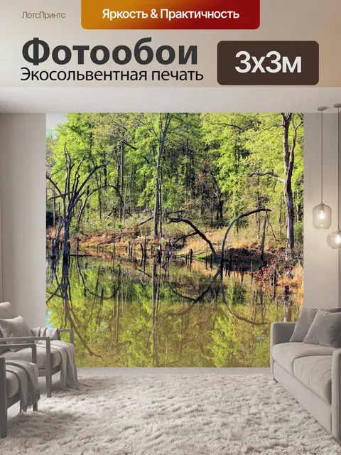 Фотообои Пруд размышления весной
