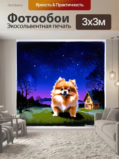 Фотообои сказочный вечерний пейзаж, где померанский шпиц, щенок, наблюдает за звездным небом из своего уютного дома