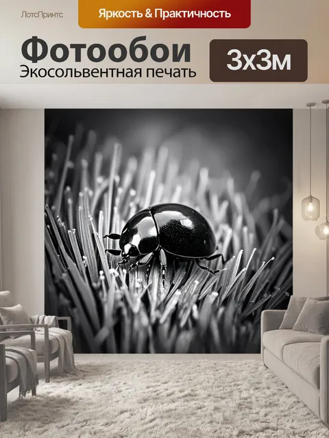 Фотообои черно-белая фотография с высоким контрастом