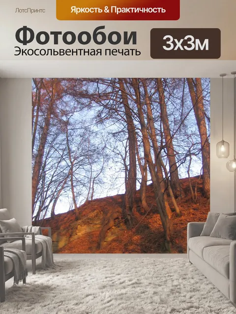 Фотообои Осень склоне