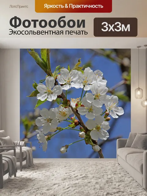 Фотообои Цветы