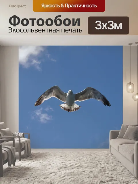 Фотообои Серебристая чайка