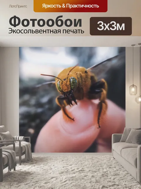 Фотообои Животное
