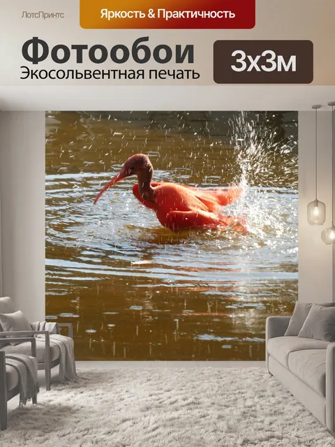 Фотообои Красный ибис