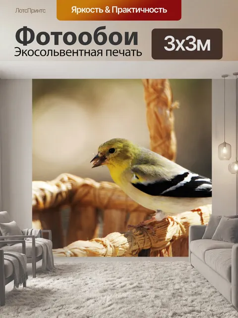 Фотообои Мужской щегол на корзине крупным планом