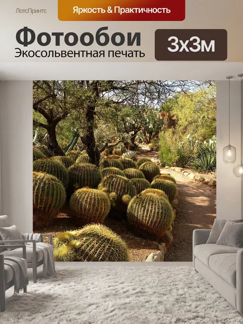 Фотообои Ствол кактусы