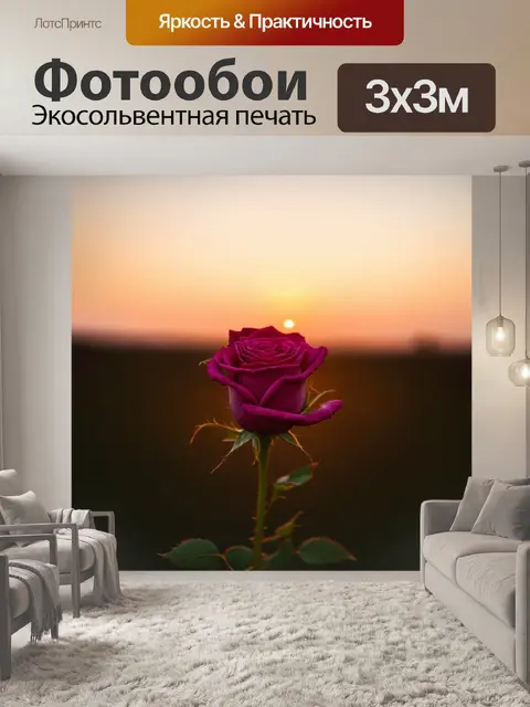 Фотообои нежная роза с далеким горизонтом на фоне заката