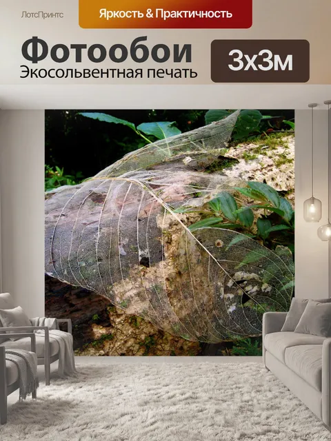 Фотообои Гигантский высушенный лист - тропический