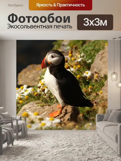 Фотообои Атлантический тупик