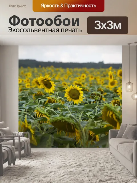 Фотообои Поле подсолнухов