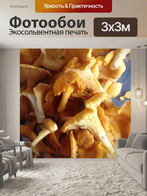 Фотообои Грибы