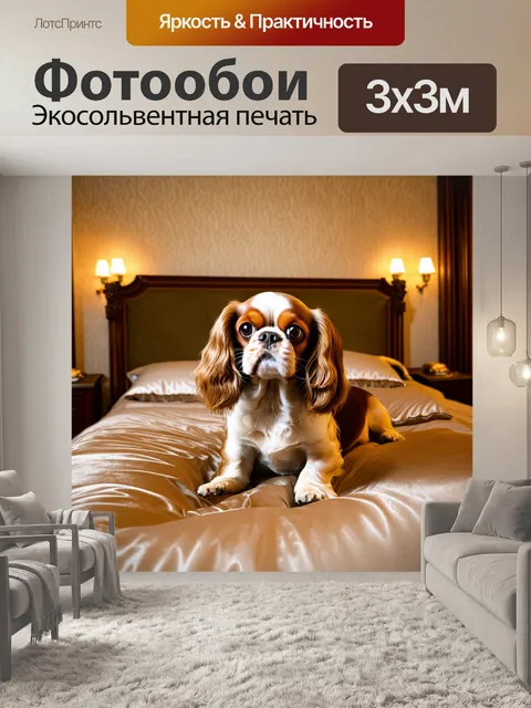 Фотообои кавалер кинг чарльз спаниель, с весёлым взглядом, лежащий на подушках на роскошной кровати