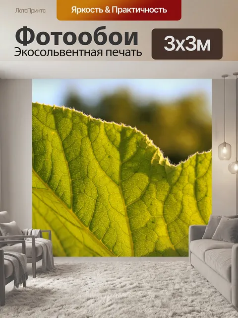 Фотообои светящийся зеленый лист в солнечном свет