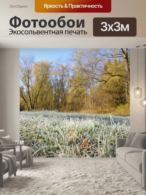 Фотообои Утро Мороз на траве