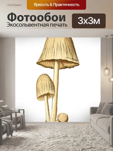 Фотообои Винтаж Клипарт Гриб Чемпион