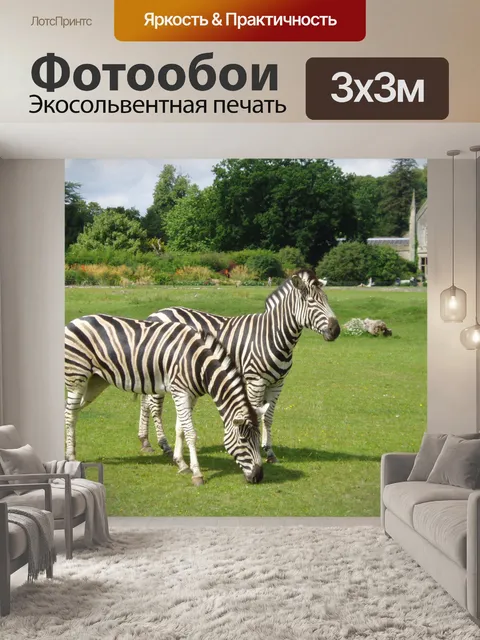 Фотообои Две зебры