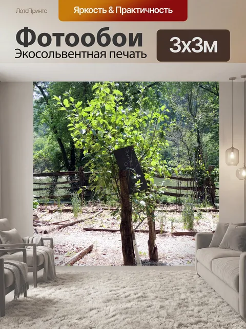 Фотообои Примитивный сад