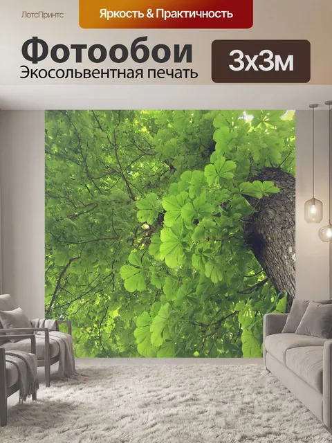 Фотообои Вечнозеленый