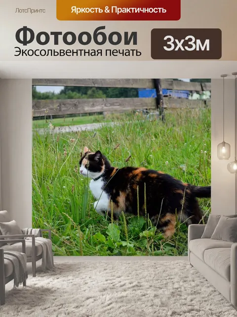 Фотообои Кошка