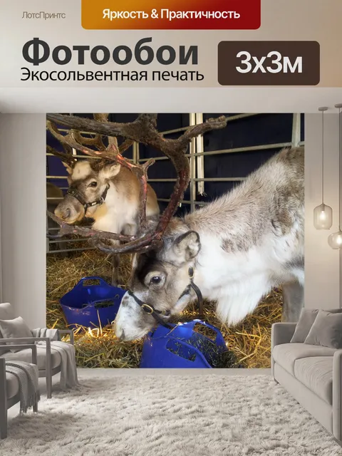 Фотообои оленей