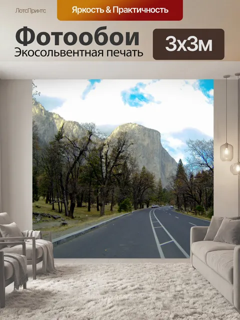 Фотообои Ввод Yosemite