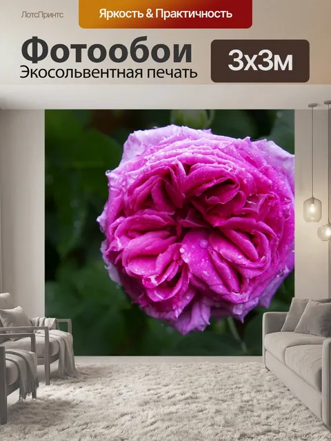 Фотообои Розовый