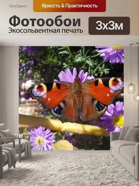 Фотообои Бабочка