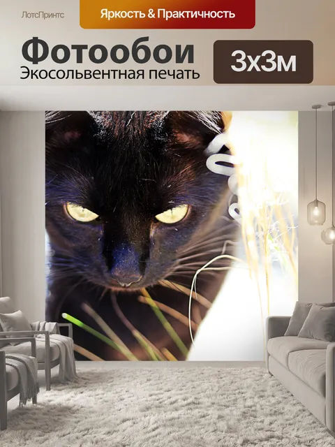 Фотообои Черная кошка в кисти