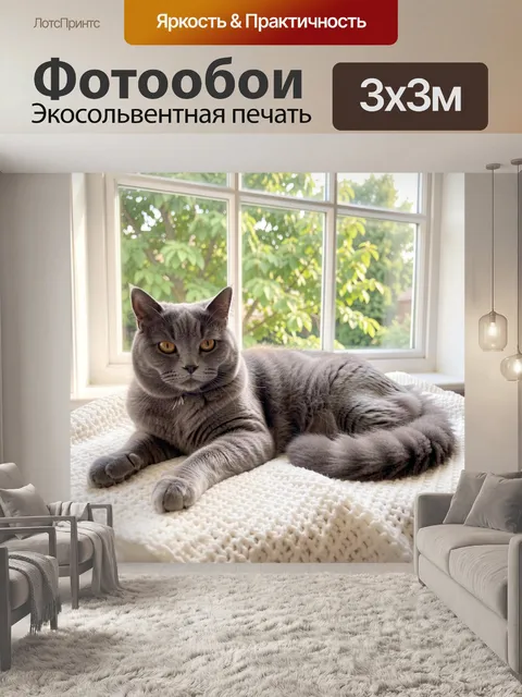 Фотообои Серый кот у окна