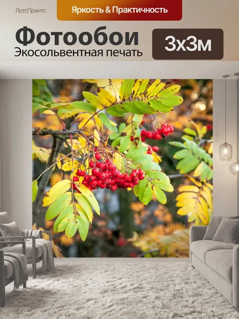 Фотообои Рябина