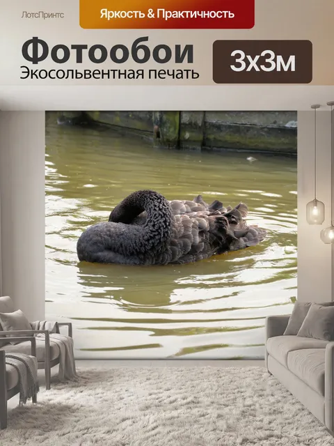 Фотообои Черный лебедь серия 1 водный балет 1