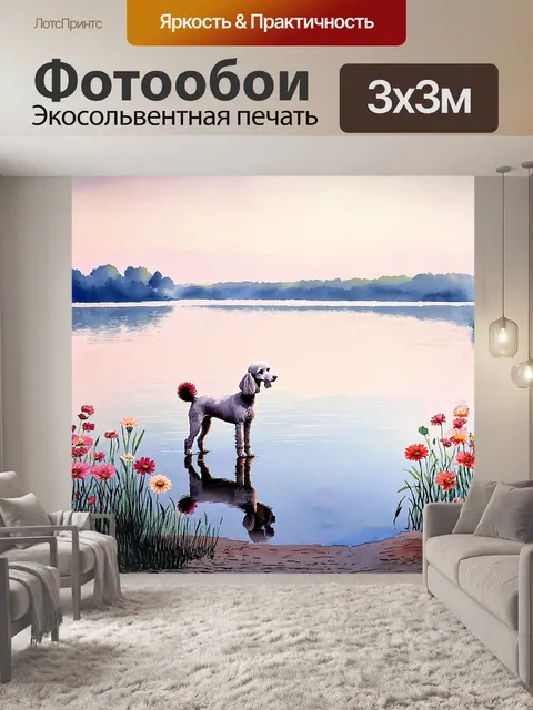 Фотообои пудель, стоящий на краю живописного озера, смотрит на отражение себя в спокойной воде