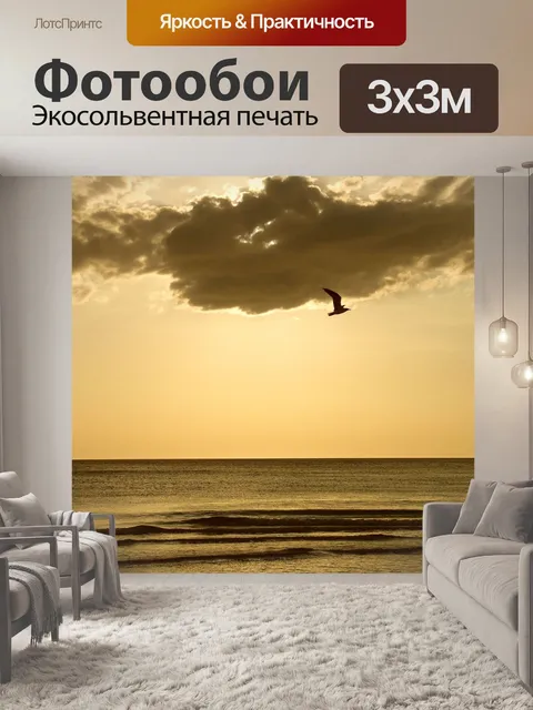Фотообои Сольный полет чайка на закате