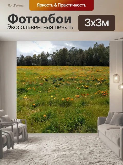 Фотообои Африканские тигрицы
