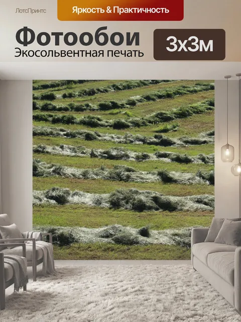Фотообои Сено полеводства Линии