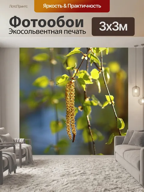 Фотообои Береза