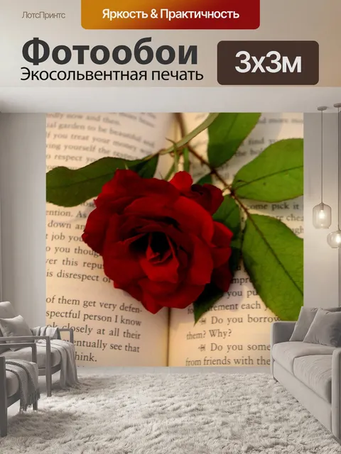 Фотообои Любовный роман с розой