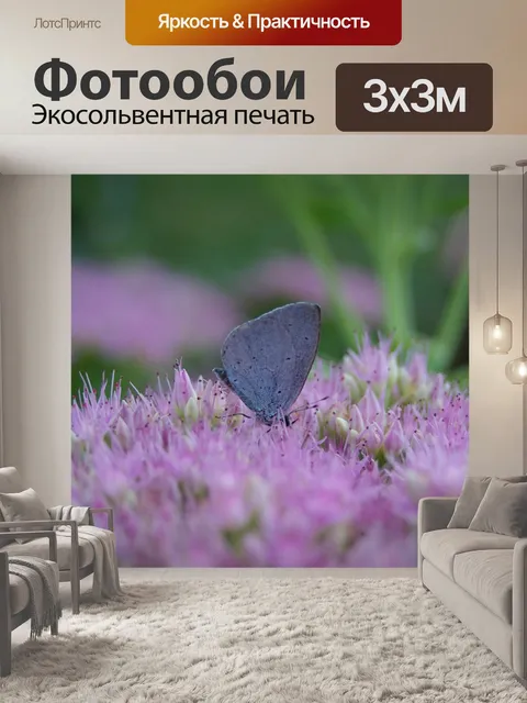 Фотообои Природа