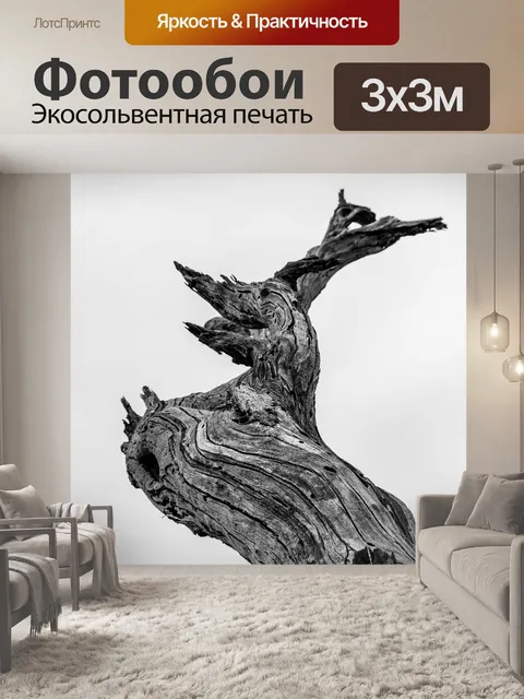 Фотообои Ствол