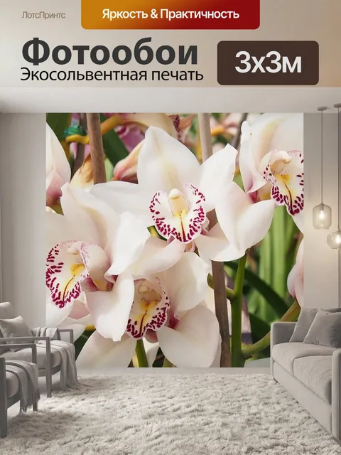 Фотообои Белая орхидея