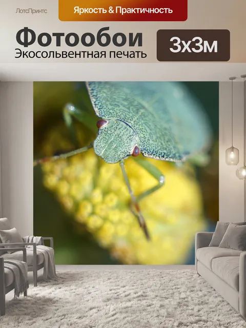 Фотообои Насекомое
