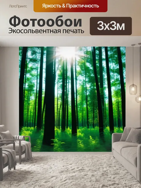 Фотообои солнце, освещающее лес