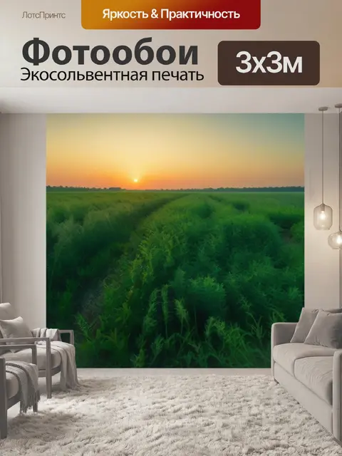 Фотообои заросшее поле на рассвете, дикая природа вокруг