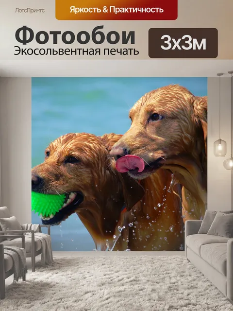 Фотообои Собаки