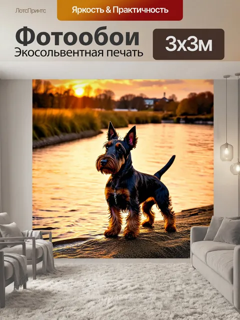 Фотообои шотландский терьер, стоящий на берегу реки, отражающей закат, выполненный в технике символизма